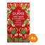 Pukka | Wild Apple & Cinnamon 20 Zakjes | 4 stuks